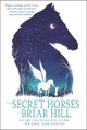 The Secret Horses of Briar Hill (Paperback)
