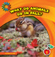 What Do Animals Do in Fall? (Library Binding)