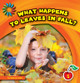 What Happens to Leaves in Fall? (Paperback)