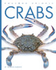 Amazing Animals: Crabs (Paperback)