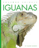 Amazing Animals: Iguanas (Paperback)
