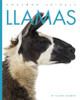 Amazing Animals: Llamas (Hardcover)