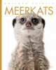 Amazing Animals: Meerkats (Hardcover)