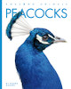 Amazing Animals: Peacocks (Hardcover)