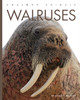 Amazing Animals: Walruses (Paperback)