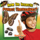 How Do Insects Protect Themselves? (Paperback)