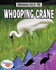 Bringing Back the Whooping Crane (Library Binding)