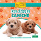 Les Chiots Caniche (Poodle Puppies) (Paperback)