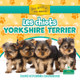 Les Chiots Yorkshire Terrier (Yorkshire Terrier Puppies) (Paperback)