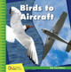 Birds to Aircraft (Paperback)