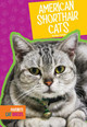 American Shorthair Cats (Library Binding)