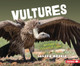 Vultures: Nature's Cleanup Crew (Paperback)