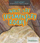 What Are Sedimentary Rocks? (Paperback)