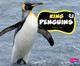 King Penguins (Hardcover)