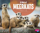 A Mob of Meerkats (Hardcover)