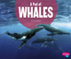 A Pod of Whales (Hardcover)