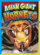 Dangerous Bugs: Asian Giant Hornets (Hardcover)