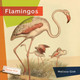 Living Wild: Flamingos (Hardcover)