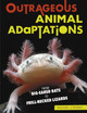 Outrageous Animal Adaptations: From Big-Eared Bats to Frill-Necked Lizards (Library Binding)