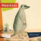 Living Wild: Meerkats (Hardcover)