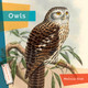 Living Wild: Owls (Paperback)