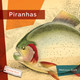 Living Wild: Piranhas (Hardcover)