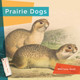 Living Wild: Prairie Dogs (Paperback)