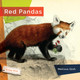 Living Wild: Red Pandas (Hardcover)