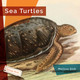 Living Wild: Sea Turtles (Hardcover)