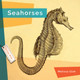 Living Wild: Seahorses (Hardcover)