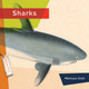 Living Wild: Sharks (Paperback)