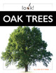 Look!: Oak Trees (Hardcover)