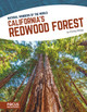 California's Redwood Forest (Paperback)