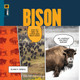Marvels: Bison (Hardcover)