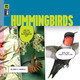 Marvels: Hummingbirds (Paperback)