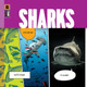 Marvels: Sharks (Hardcover)