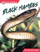 Black Mambas (Paperback)