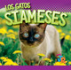 Nuestros gatos favoritos: Los gatos siameses (Hardcover)