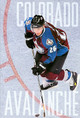 The Story of the Colorado Avalanche (Library Binding)
