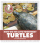 How Do We Live Together? Turtles (Library Binding)
