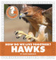 How Do We Live Together? Hawks (Library Binding)