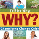 Chameleons Change Color (Library Binding)