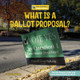 What Is a Ballot Proposal? (Library Binding)