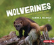Wolverines: Nature's Cleanup Crew (Library Binding)