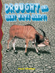 Drought and Heatwave Alert! (Paperback)