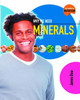 Why We Need Minerals (Paperback)