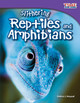 Slithering Reptiles and Amphibians (Paperback)