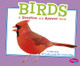 Birds: A Question and Answer Book (Paperback)