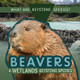 Beavers: A Wetlands Keystone Species (Library Binding)