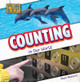 Counting in Our World (Paperback)